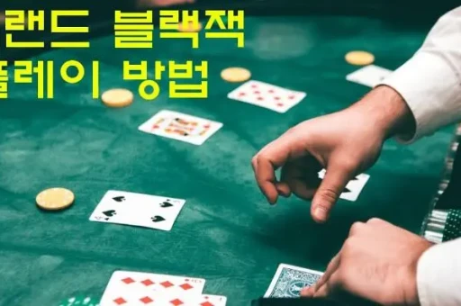 스포츠 카지노의 매력과 즐거움